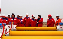 ���������� ��������--��ɸ�ѹ���߼�������վ����˳��ͨ��ר������