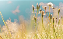 ��΢���Ρ�����?��?��?����������