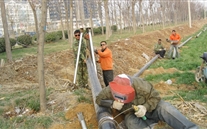 ���Ϲ�˾������������߸�Ǩ����˳������