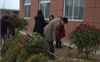 ����ɫ��һ�㡢��԰��һ�㡱��������ׯ����Ϸȼ����˾3.12ֲ�����˶�