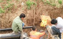 �˷����Ѵ�����������Э�����ѹ�