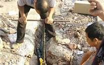 ���Ź�˾�����ڼ�������������ƽ��