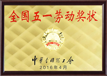 ȫ����һ�Ͷ���״