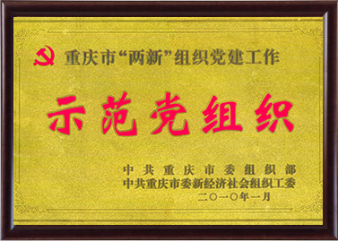 ʾ������֯