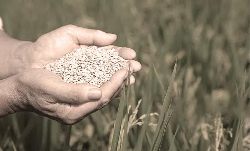 ΢��ͼƬ_20200922084002