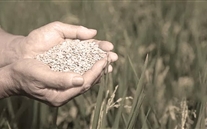 ��΢���á���ʷС����حһ���Լ��ʳ��������