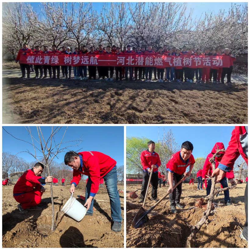 ΢��ͼƬ_20230314144057