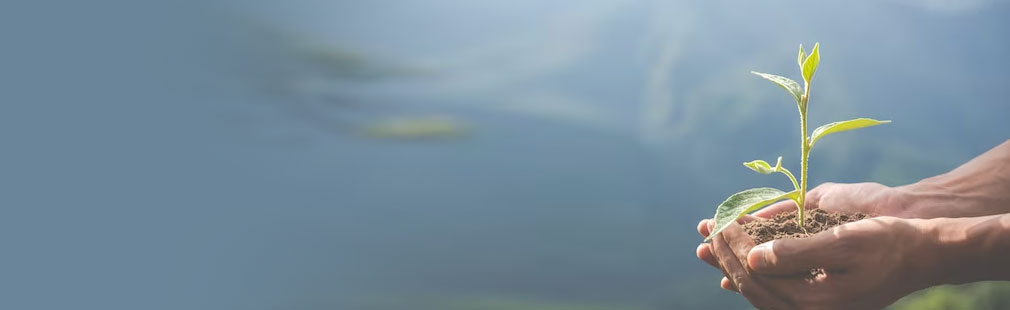 ׯ����Ϸ��