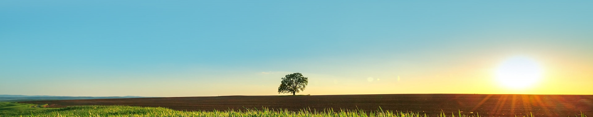 ׯ����Ϸ�Ļ�