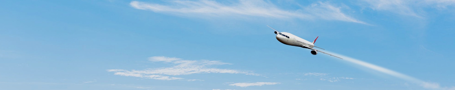 ������ʿ